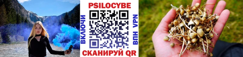 где купить наркотик  Вытегра  Псилоцибиновые грибы MAGIC MUSHROOMS 